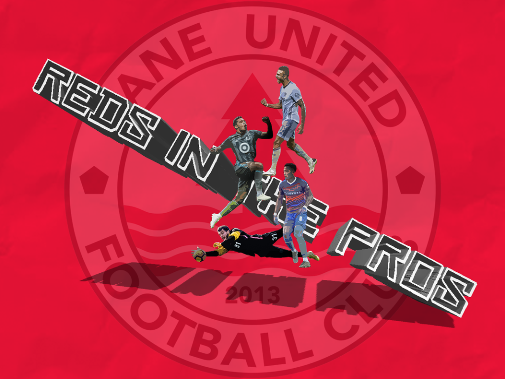 Reds in the Pros 4x3 Background 